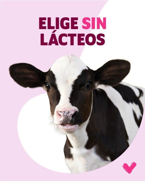 Veganuary recopila una ruta de cafeterías veganas en Lima